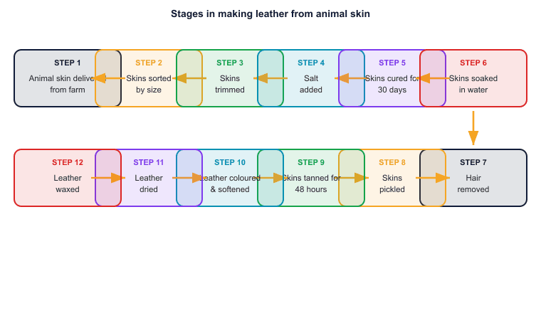Stages in making leather from animal skin
