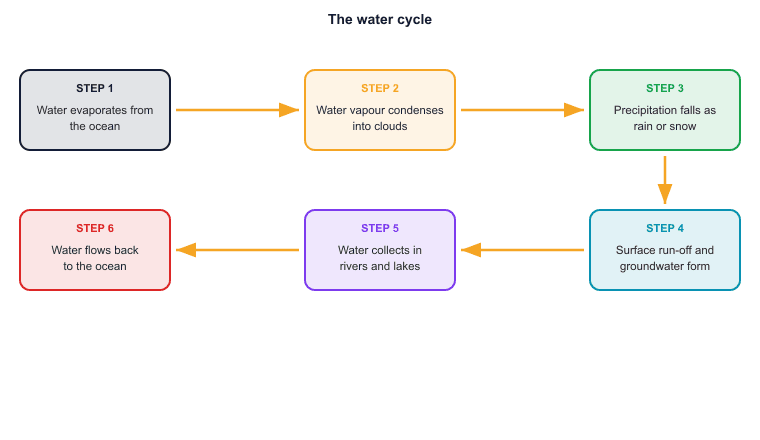 The water cycle