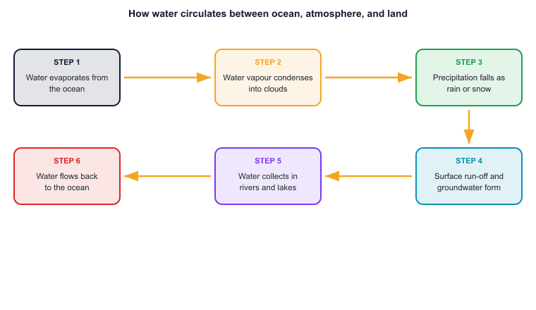 How water circulates between ocean, atmosphere, and land